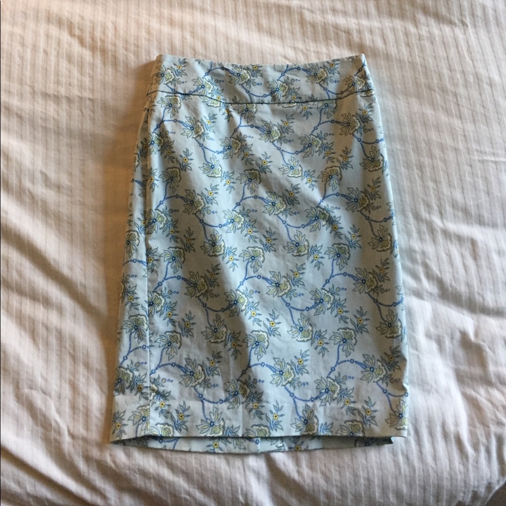 Ann Taylor skirt